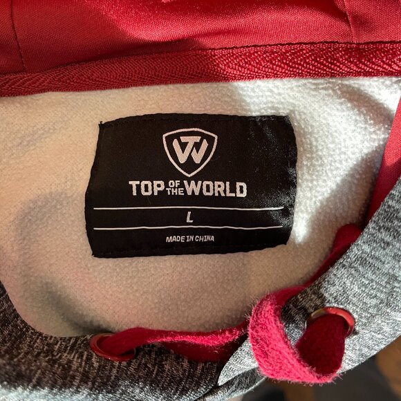 Unisex Iowa State Hooded Sweatshirt - Picture 4 of 6